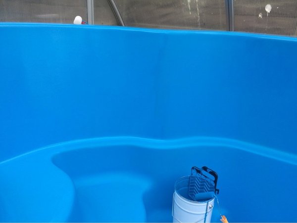 PROFI Schwimmbeckenfarbe Chlorkautschuk 1kg Karibiablau